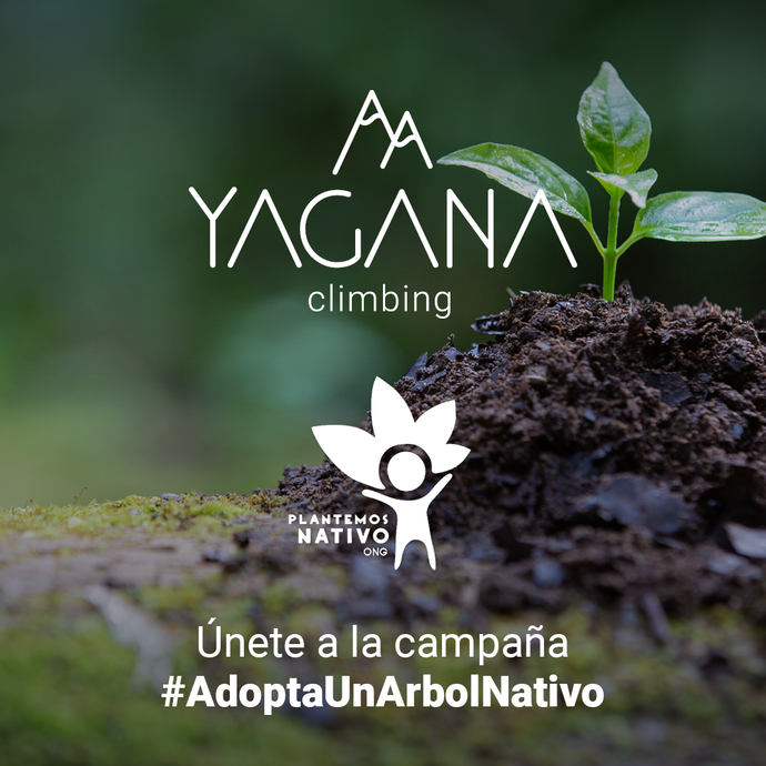 Alianza Plantemos Nativo y Yagana Climbing